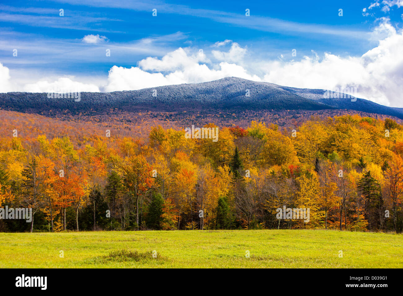 GREEN MOUNTAINS, North Carolina, USA - feuillage de l'automne sur les arbres à proximité de Camel's Hump State Forest, sur la Route 17. Banque D'Images