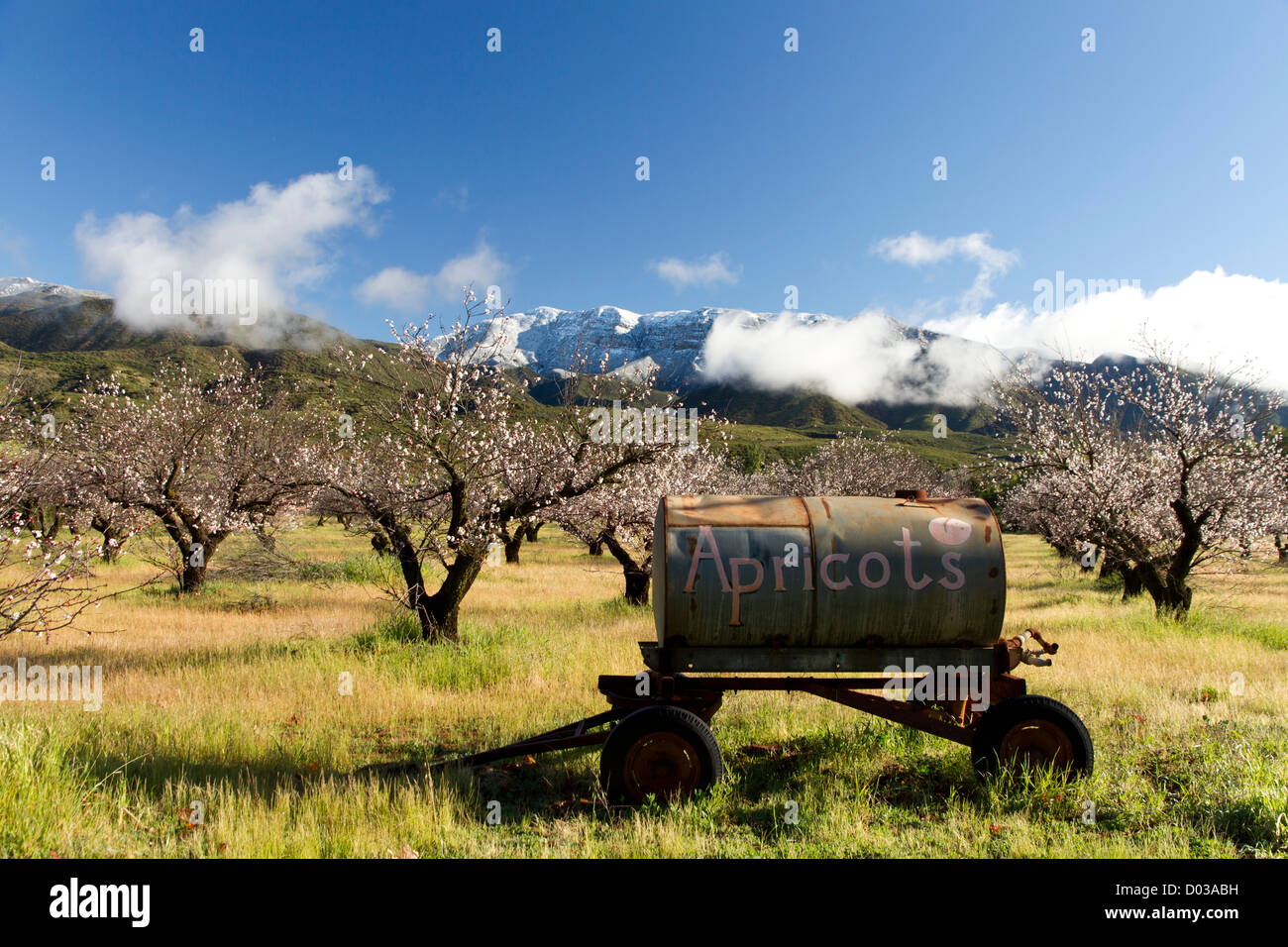 La région de Ojai Valley Agriculture Scenics Banque D'Images