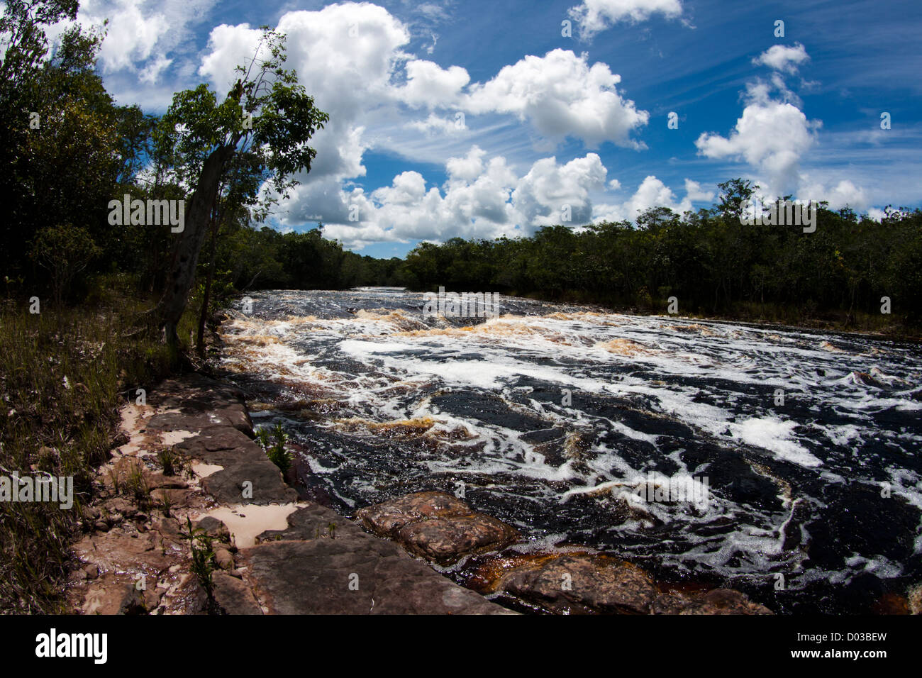 Rivière à Anavilhanas zone protégée, l'Amazonas satate, forêt amazonienne, au nord du Brésil Banque D'Images