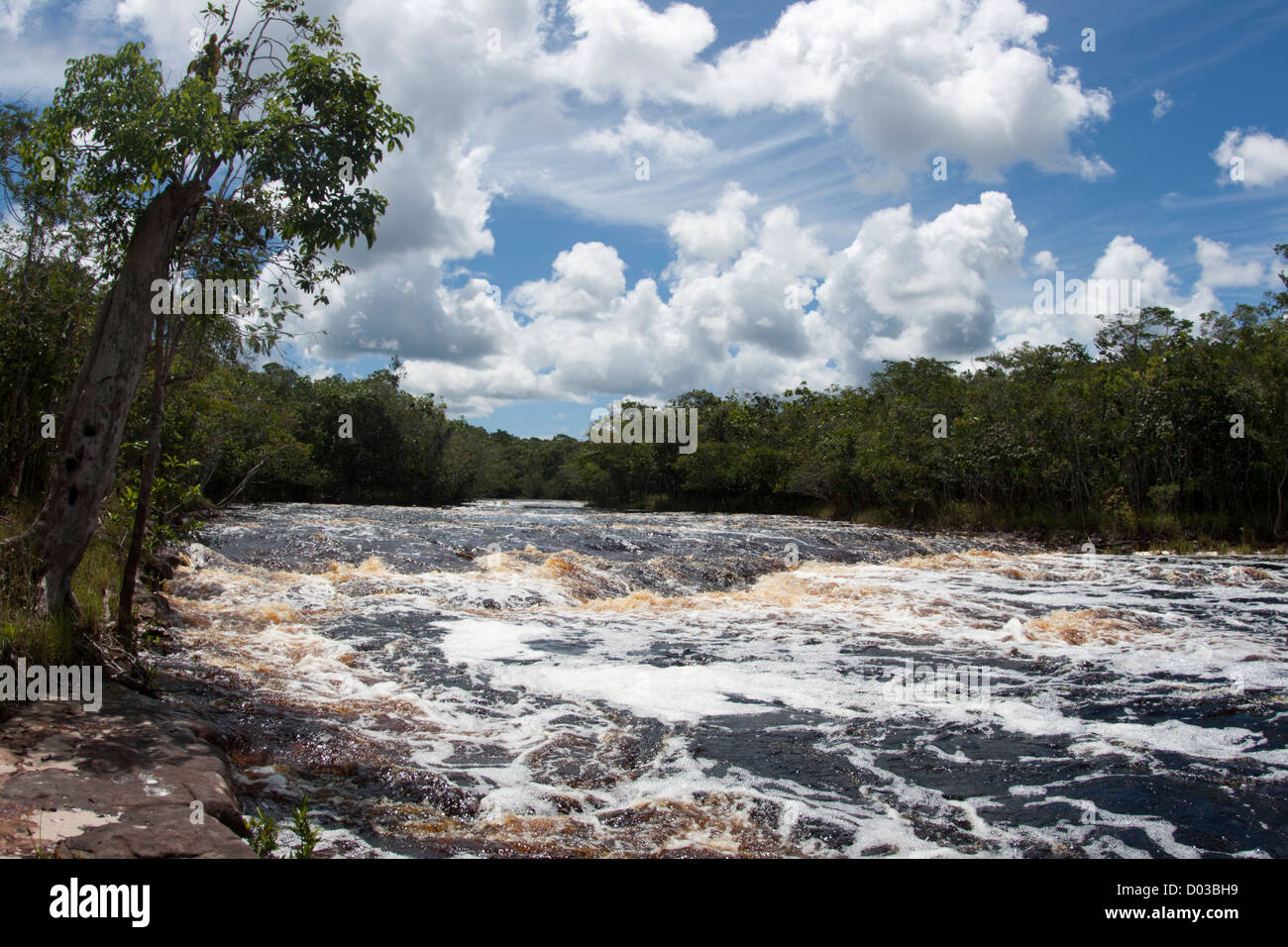 Rivière à Anavilhanas zone protégée, l'Amazonas satate, forêt amazonienne, au nord du Brésil Banque D'Images