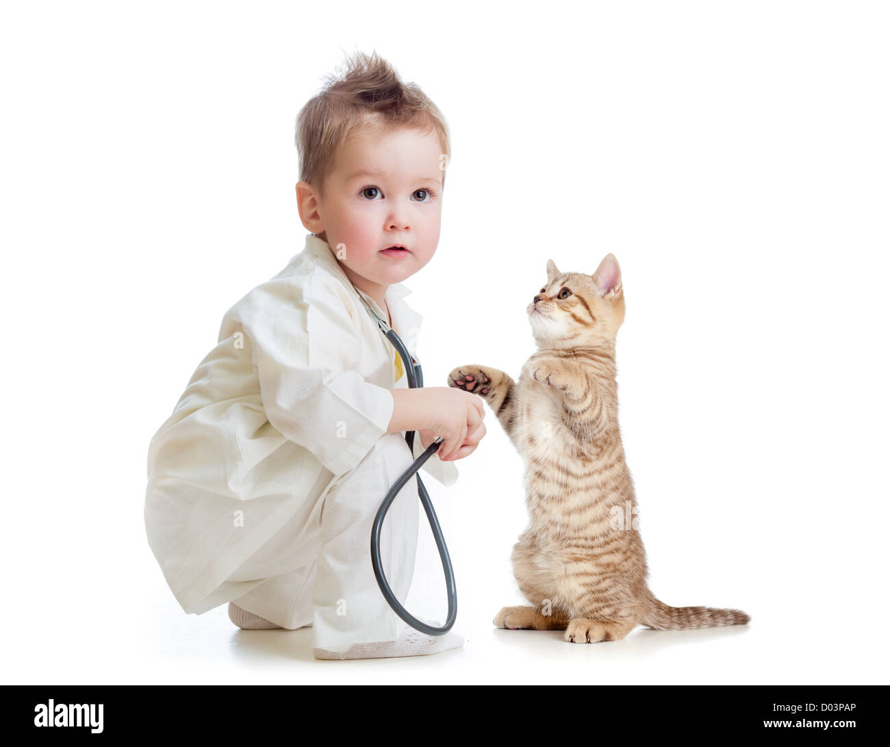 Enfant ou enfant jouant doctor with stethoscope et cat isolated on white Banque D'Images