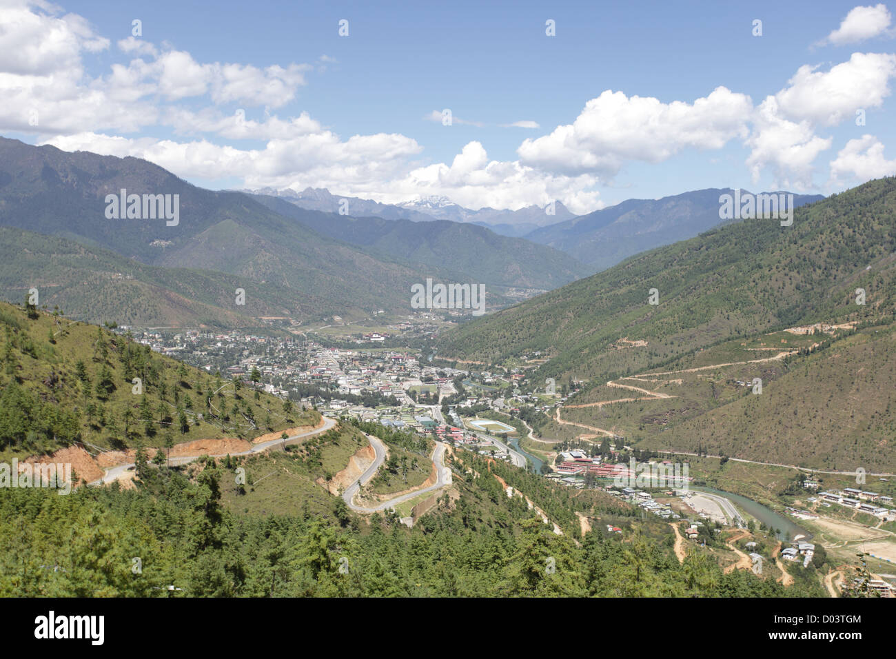 Oiseau tourné de Thimphu. Banque D'Images