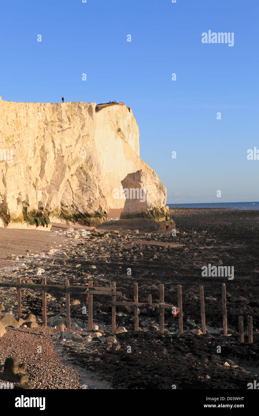 Falaises de craie Seaford Head East Sussex England UK GO Banque D'Images