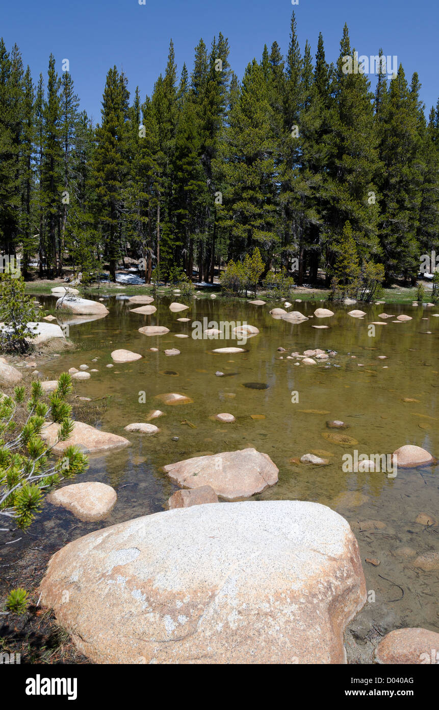 Lac avec rochers lisses sur Tioga Pass dans Yesemite National Park en Californie aux États-Unis d'Amérique Banque D'Images