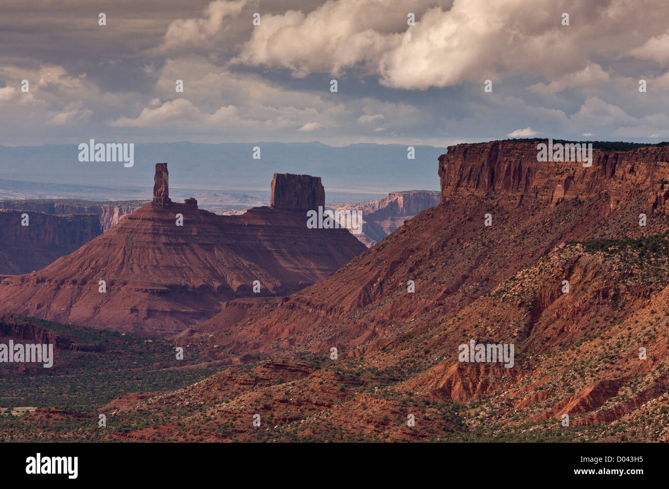 Falaises de grès et de pinacles à Castle Valley, près de Moab, Utah, USA Banque D'Images