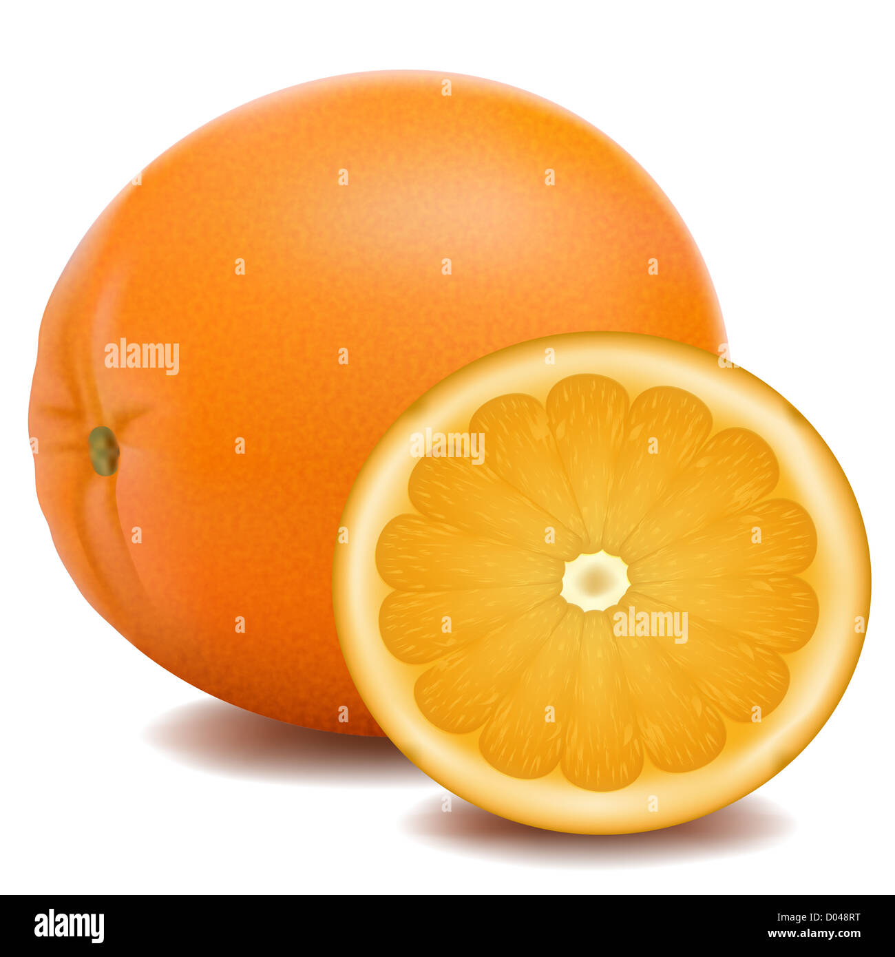 Illustration de l'orange sur fond blanc Banque D'Images