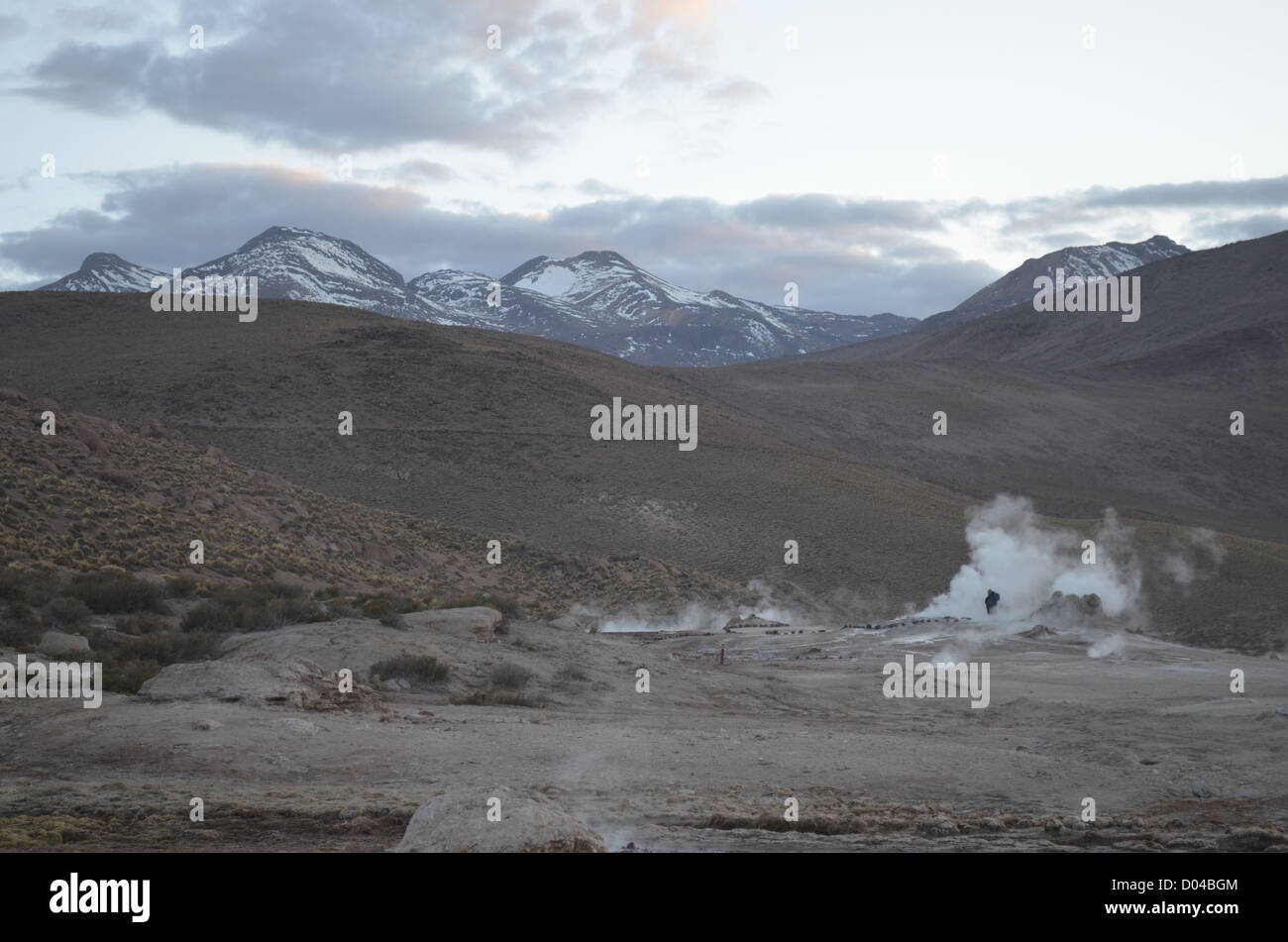 El Tatio Geysers, désert d'Atacama, Chili Banque D'Images