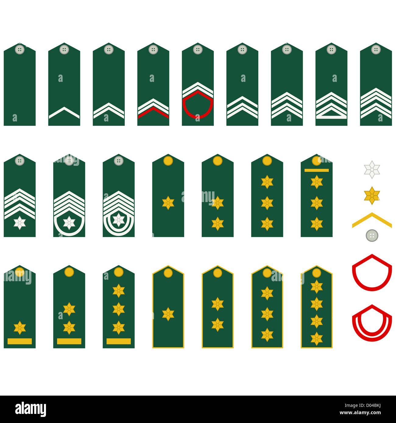 Les grades militaires, galons et insignes. Illustration sur fond blanc ...