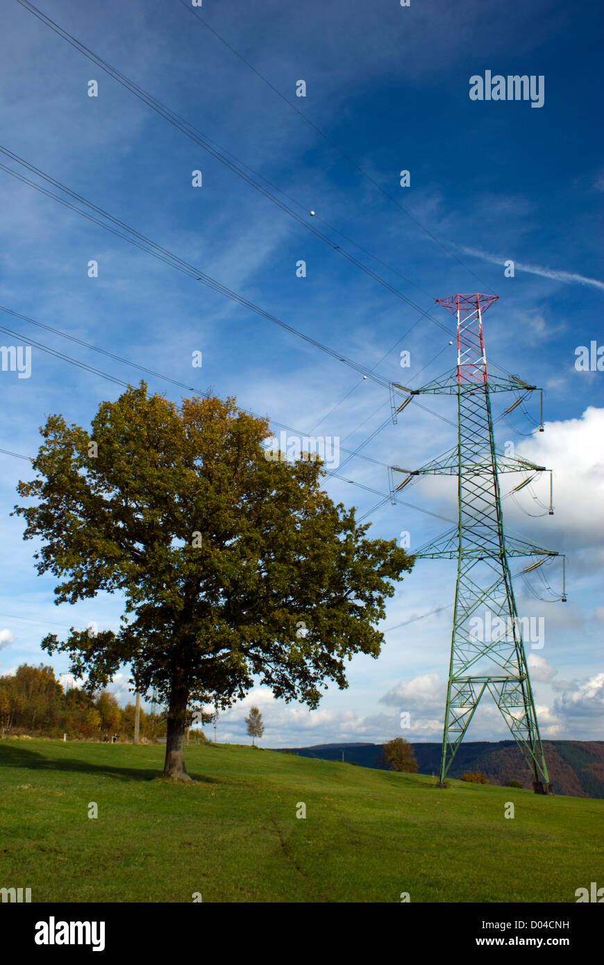 Lignes électriques avec un arbre Banque D'Images