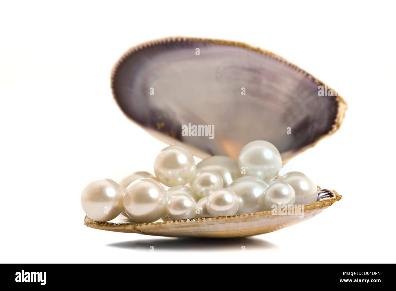 De belles perles dans un shell sur fond blanc, pur Banque D'Images