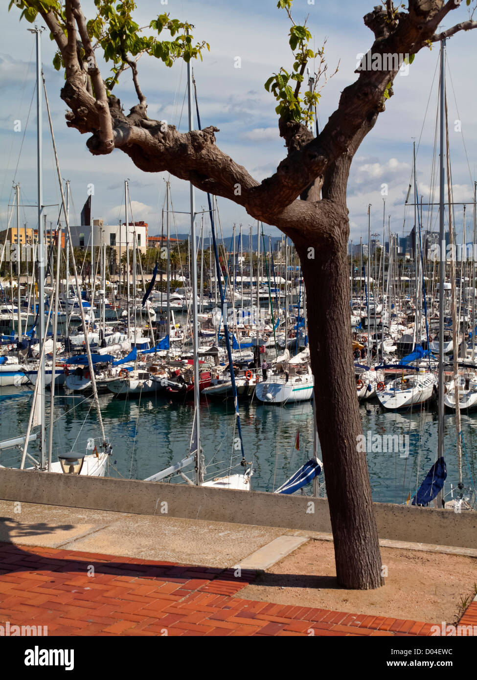 Bateaux dans le port de Port Olimpic Barceloneta Barcelona La Catalogne Espagne qui a été largement reconstruite pour les Jeux Olympiques de 1992 Banque D'Images