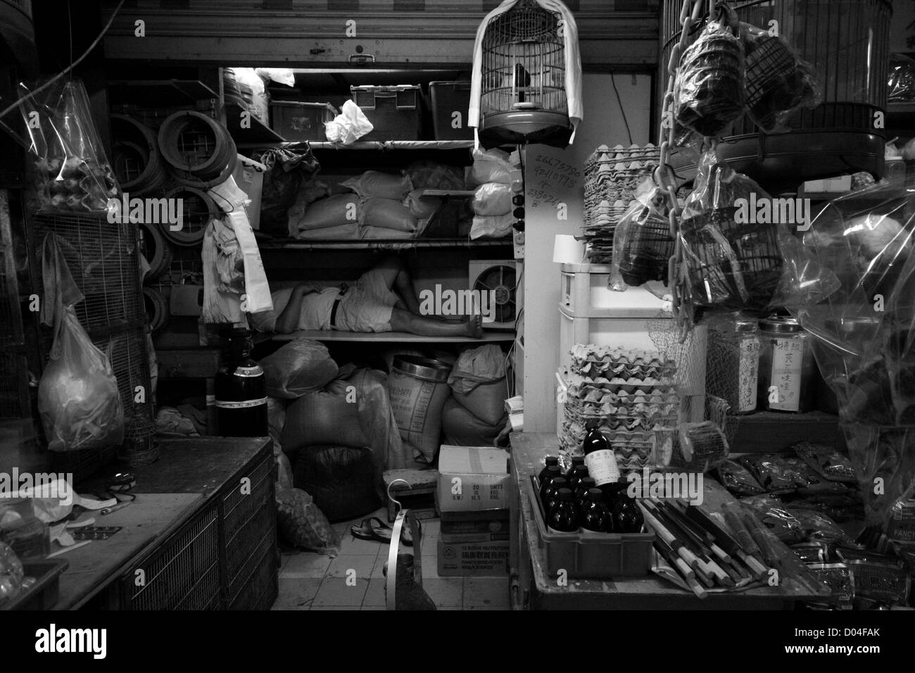 Man sleeping, marché aux oiseaux de Yuen Po Street, Hong Kong Banque D'Images