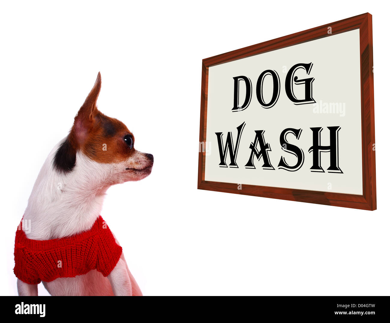 Laver le chien montre des signes de toilettage canin ou du shampoing de lavage Banque D'Images