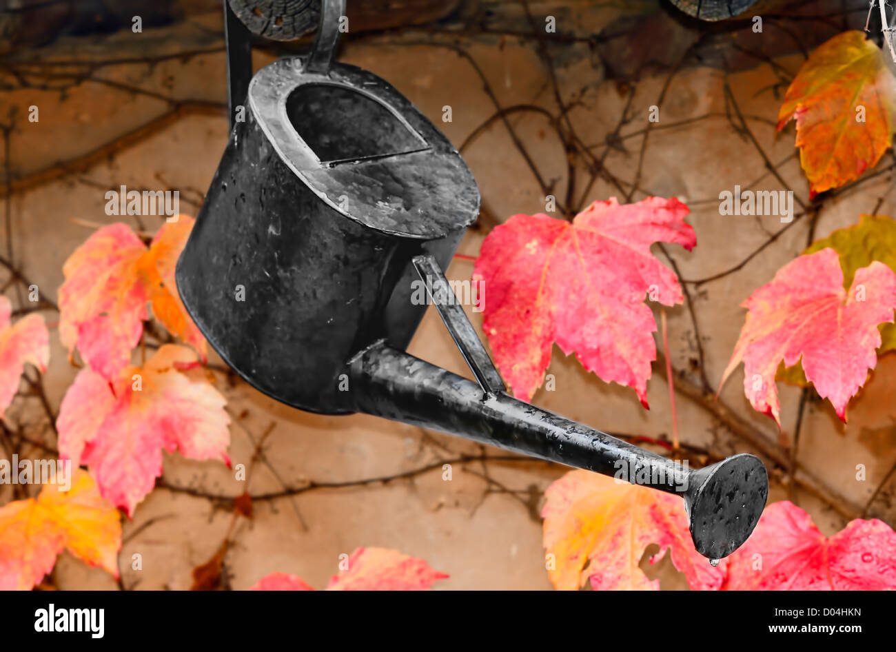 Un arrosoir avec feuillage d'automne dans l'arrière-plan Banque D'Images