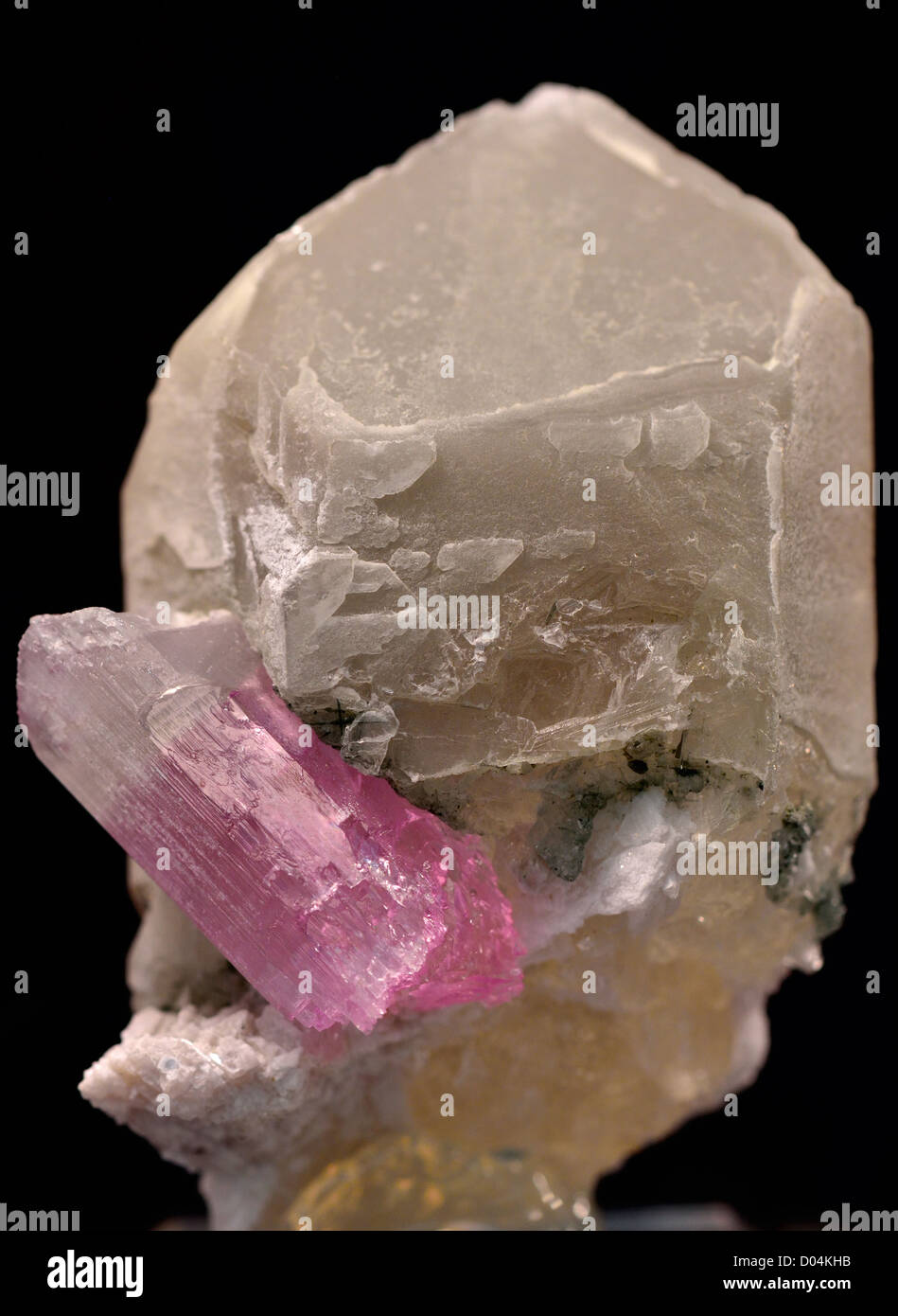 Un cristal de tourmaline rose cultivée sur quartz. Banque D'Images