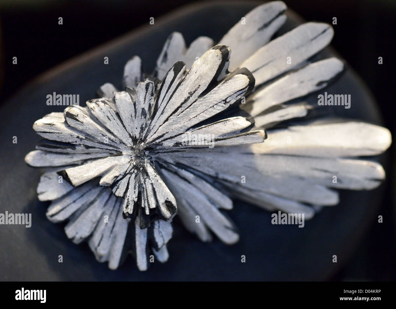 Spécimen de chrysanthème stone, un aggretage Lac-celestine de minéraux de Liuyang, dans la province de Hunan, en Chine. Banque D'Images