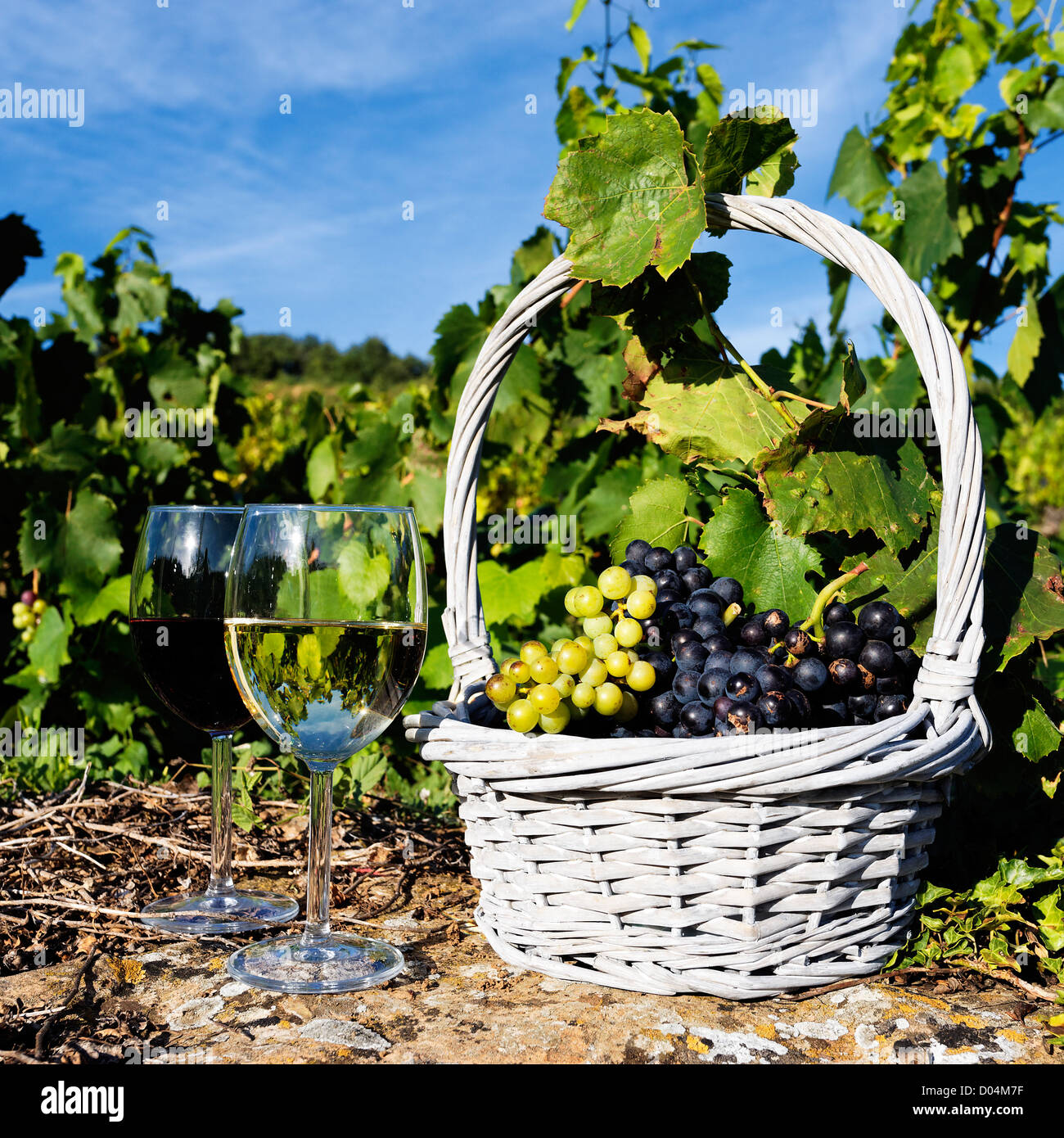 Verres de vins blanc et rouge et de cépages dans panier Banque D'Images