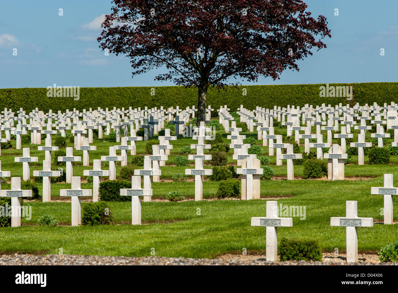 Cimetière militaire France Europe Banque D'Images