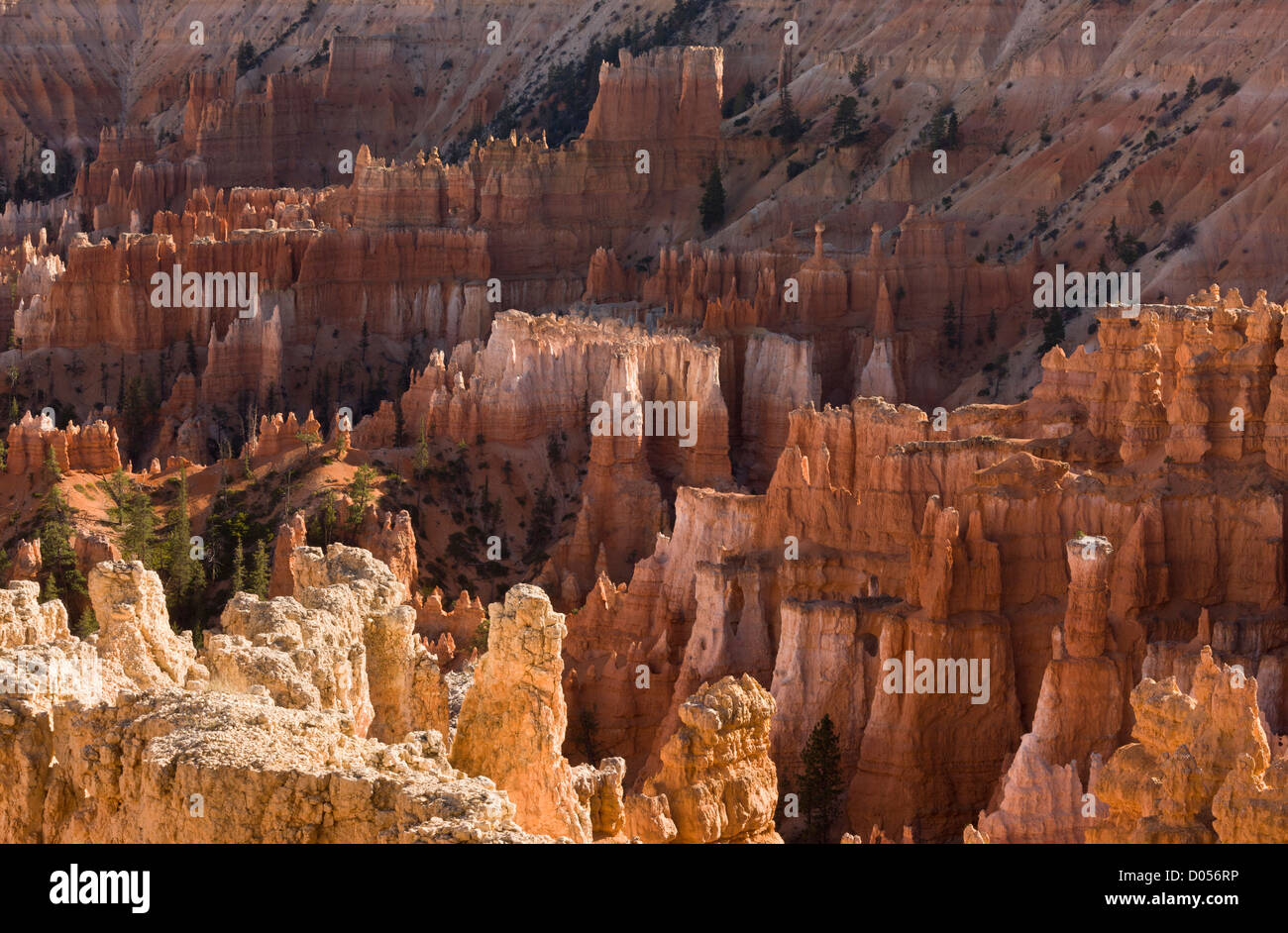 Hoodoos ou piliers rocheux de l'érosion dans les calcaires et d'autres roches de la formation de Claron, Bryce Canyon National Park, Utah Banque D'Images