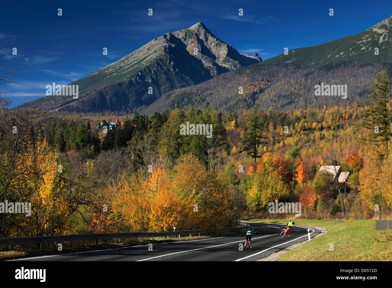 Ski à roulettes le long de la route menant à Tatranska Lomnica dans la région de Slovaquie Tatras Banque D'Images