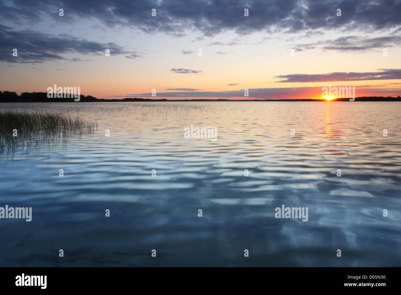 Saadjärv Lac au coucher du soleil. L'Estonie, Europe Banque D'Images