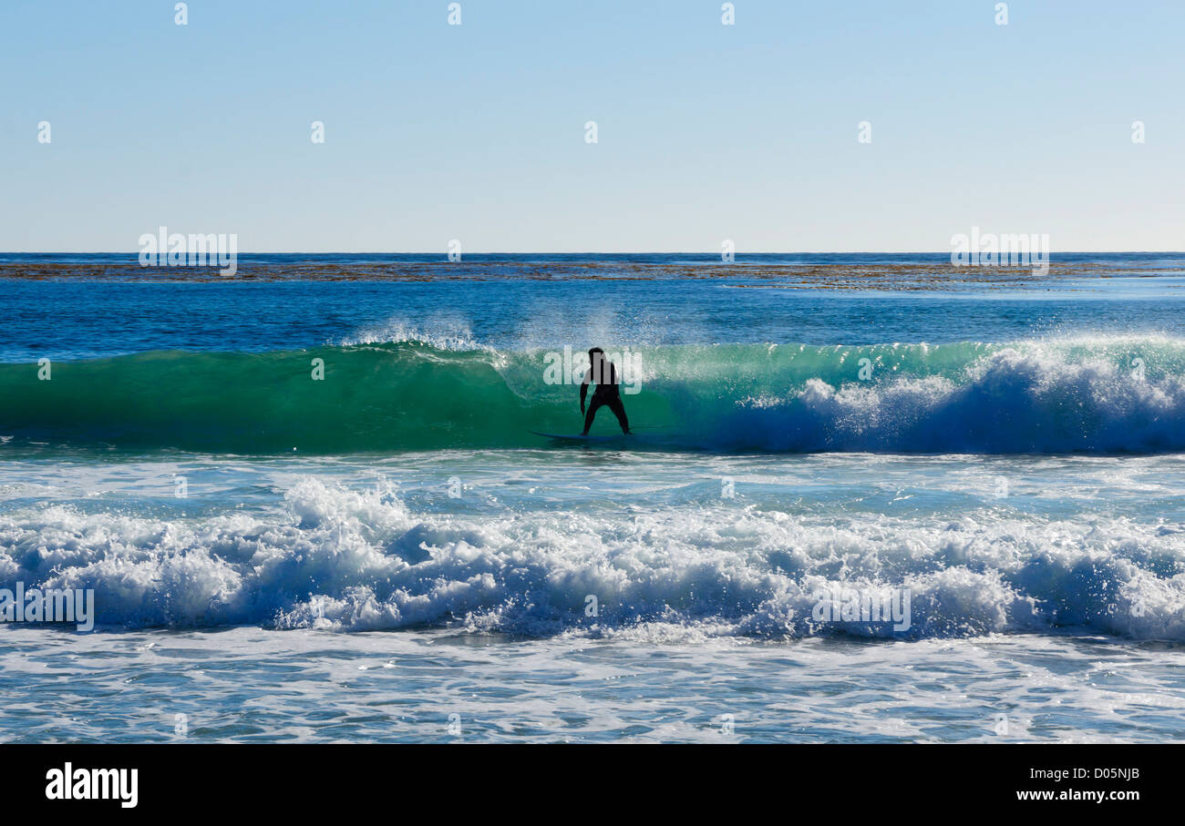 Carmel-by-the-Sea, Californie - surfeur. Banque D'Images