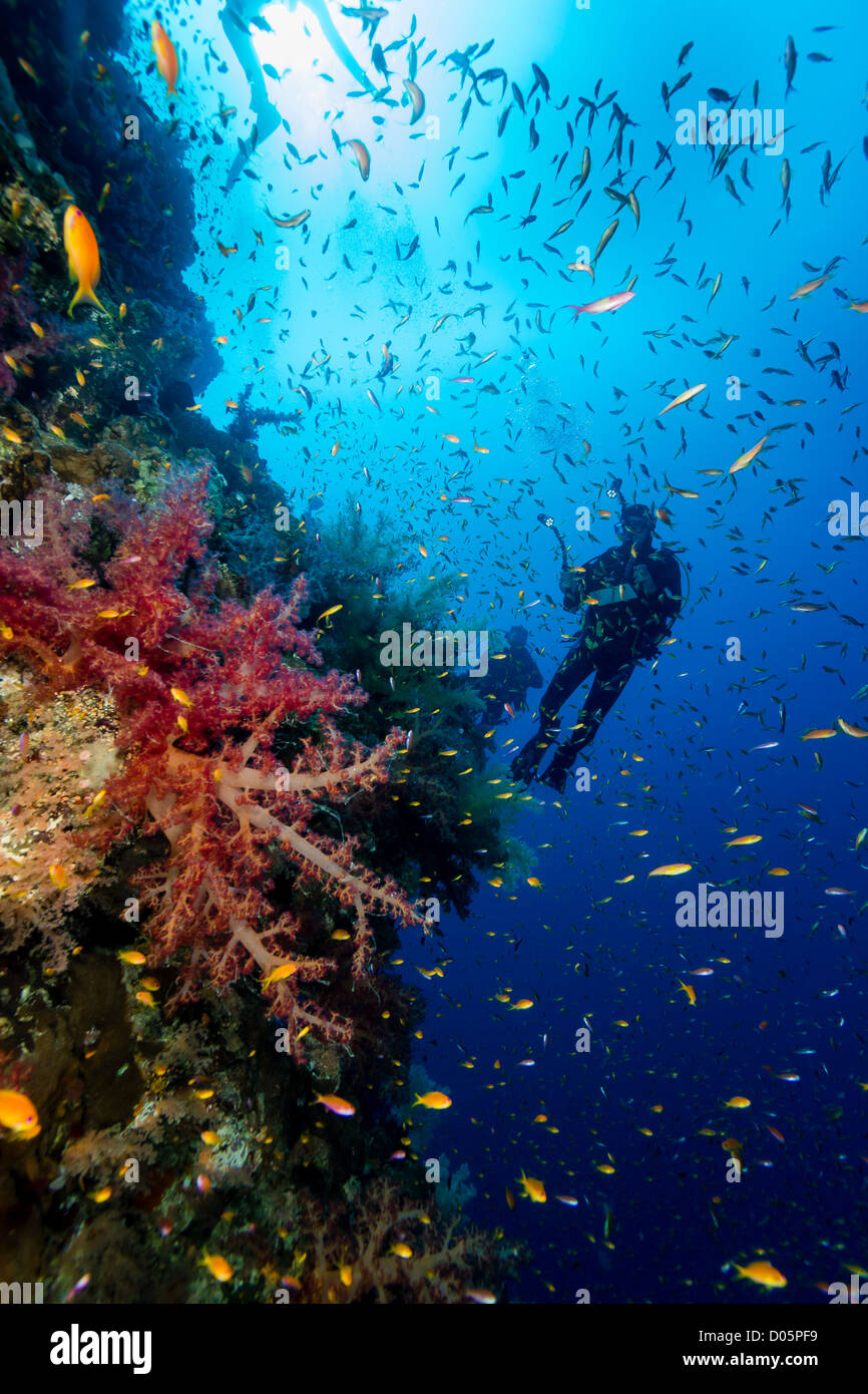 Un plongeur sous-marin profond en silhouette sur un récif de corail Banque D'Images