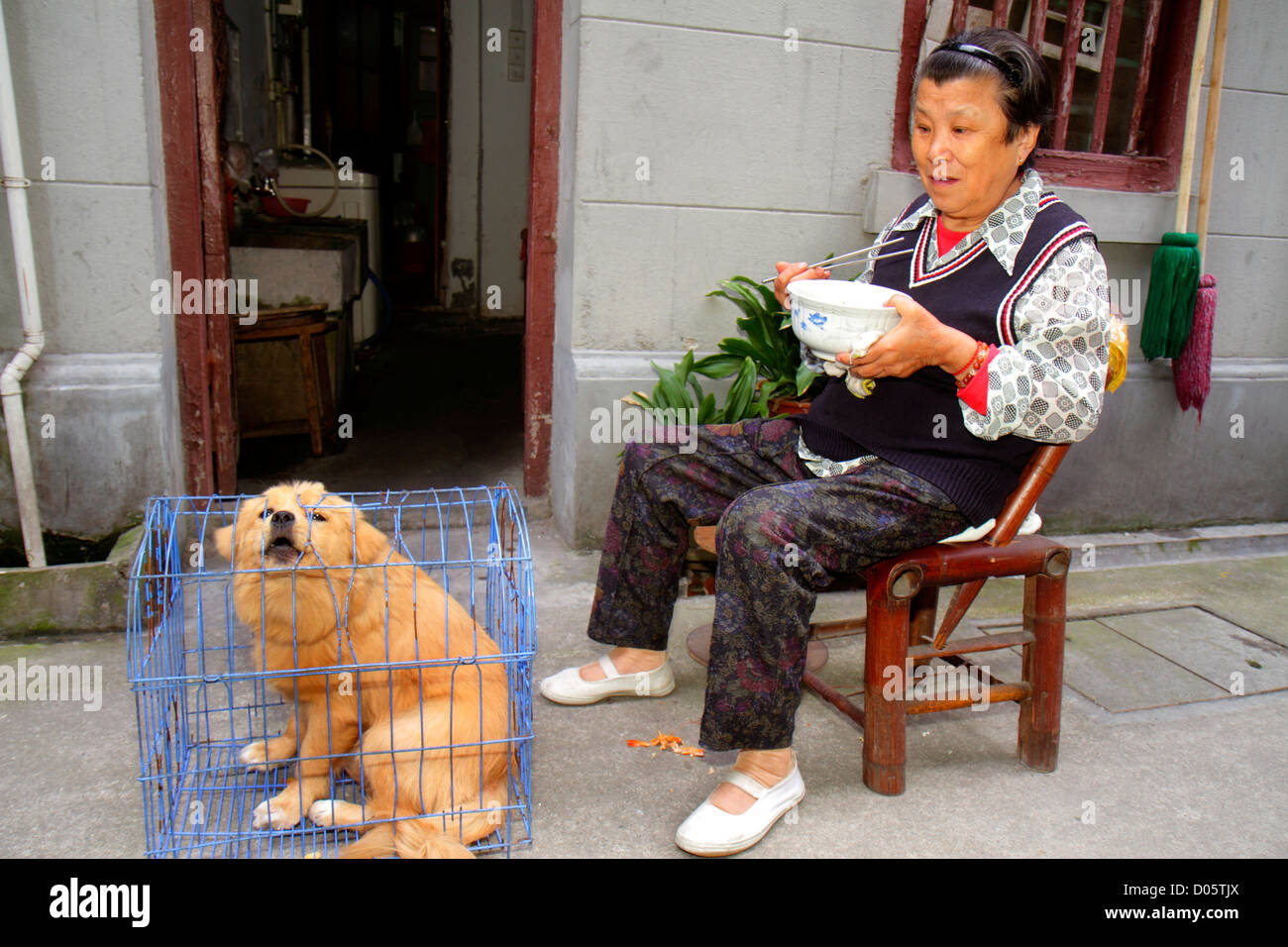 Shanghai Chine,Chinese Luwan District,Xintiandi,Fuxing Middle Road,Huai hai Community,Asian Women femmes,senior senior citoyens citoyens,chien,animal de compagnie Banque D'Images
