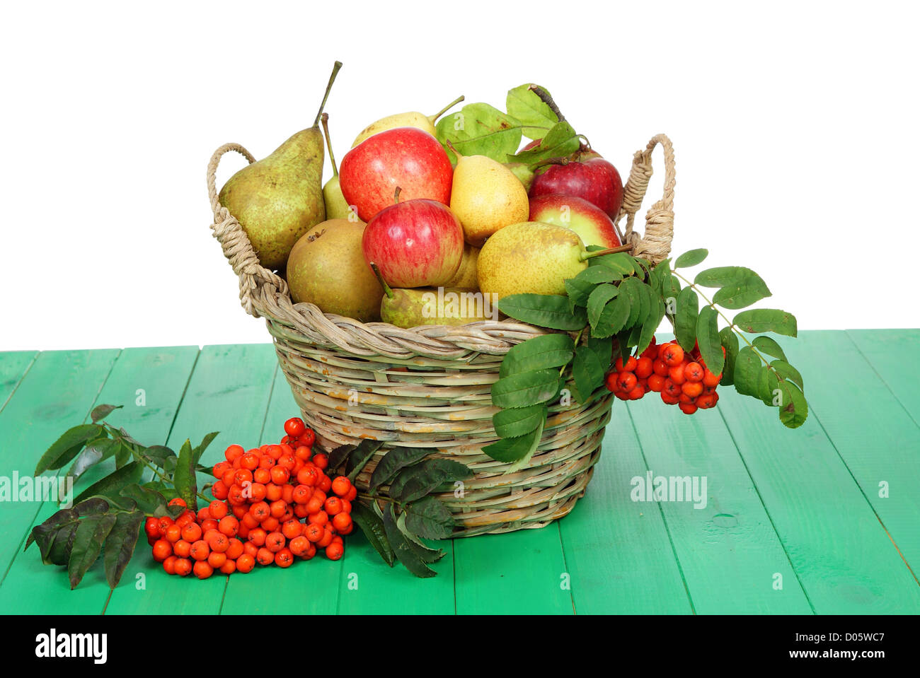 Panier plein de fruits la rowan décorées-berry Banque D'Images