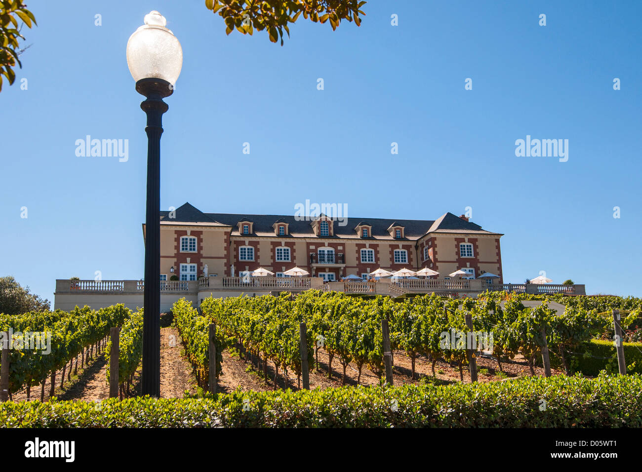 Belle vue sur le domaine Carneros Winery and Vineyard en Napa Valley. Banque D'Images