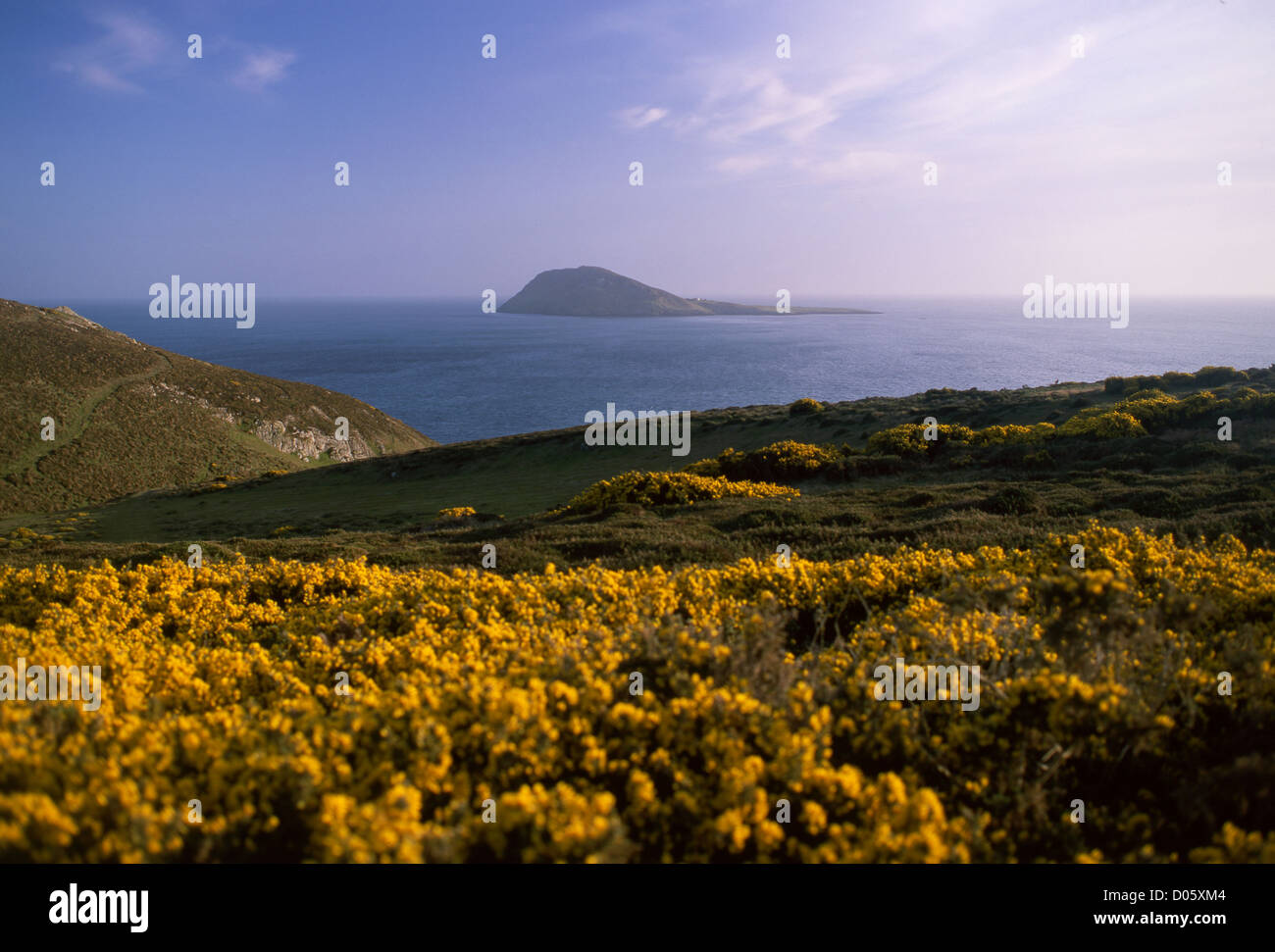 Bardsey Island - Ynys Enlli ou l'île de 20 000 Saints - au coucher du soleil au printemps la péninsule de Llŷn Gwynedd North Wales UK Banque D'Images