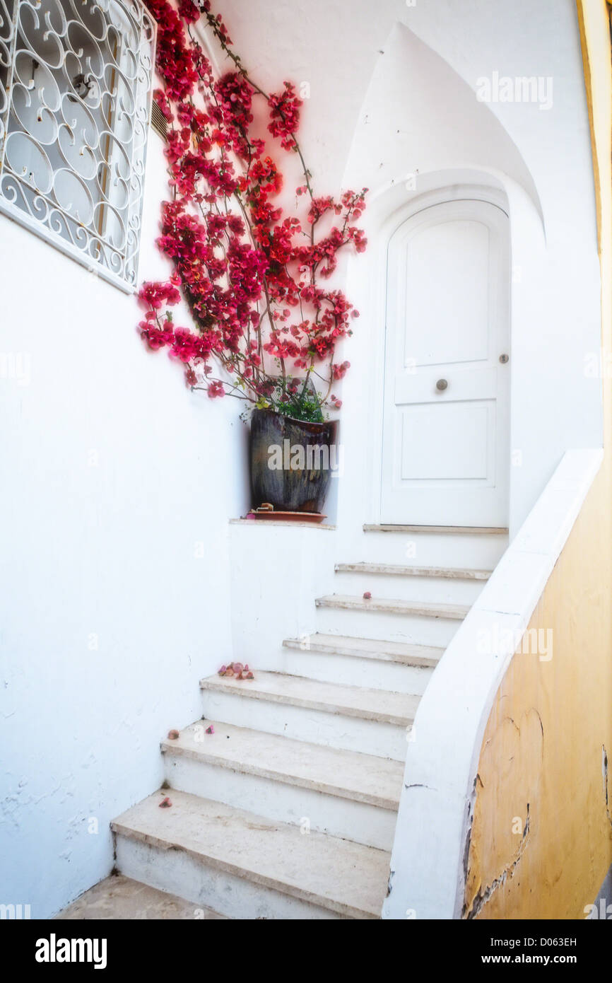 Fleur rouge à un Doorstedp, Positano, Campanie, Italie Banque D'Images