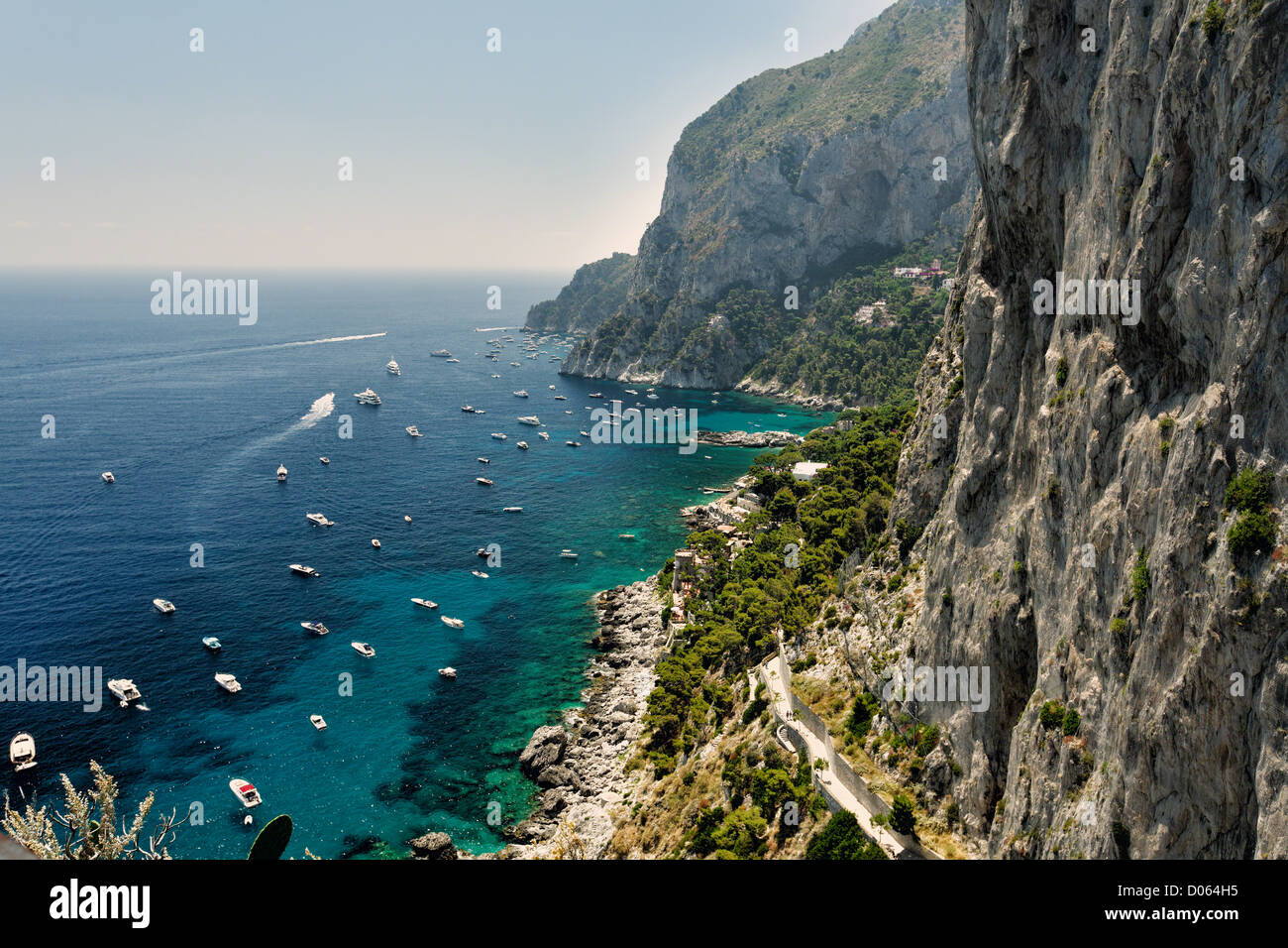 Portrait d'une côte sauvage, Marina Piccola, Capri, Campanie, Italie Banque D'Images