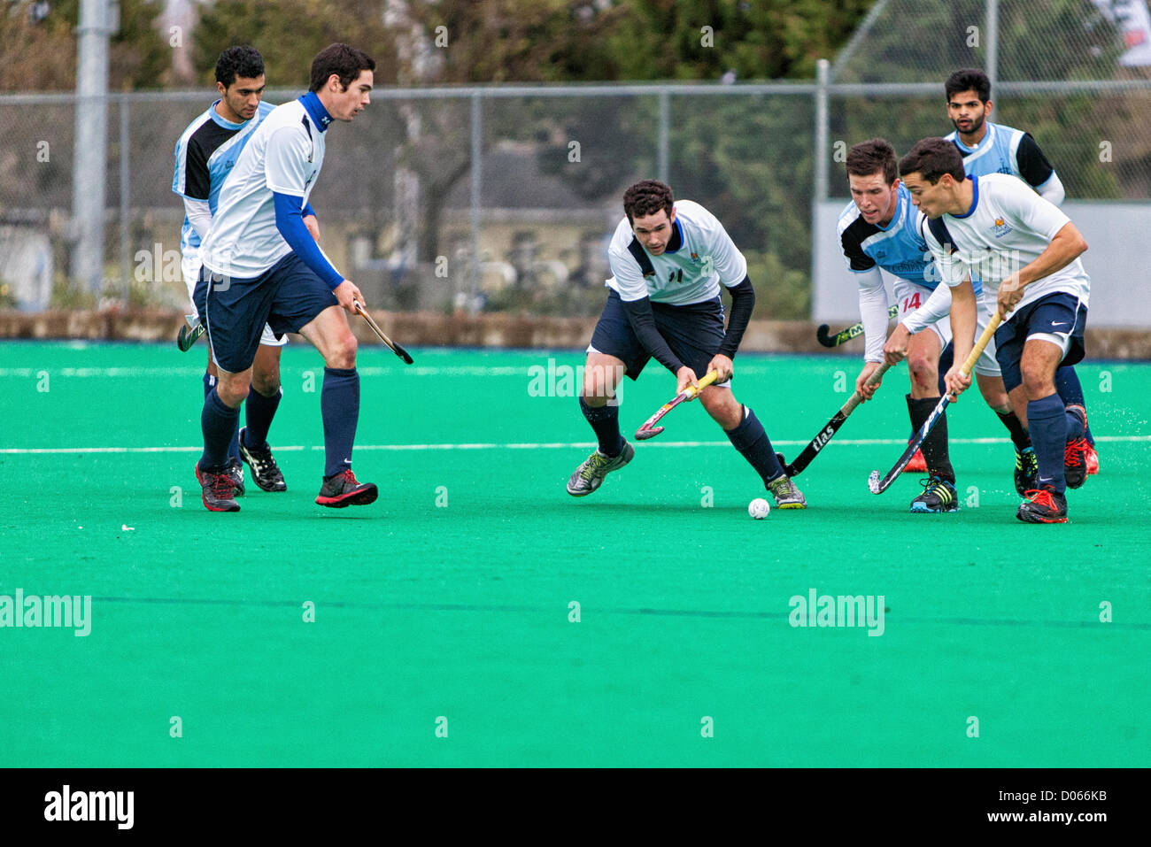Victoria, Colombie-Britannique, Canada. 17 novembre 2012. Le hockey. Université de Vikes de Victoria vs Inde Club. 17 novembre, 2012 Banque D'Images