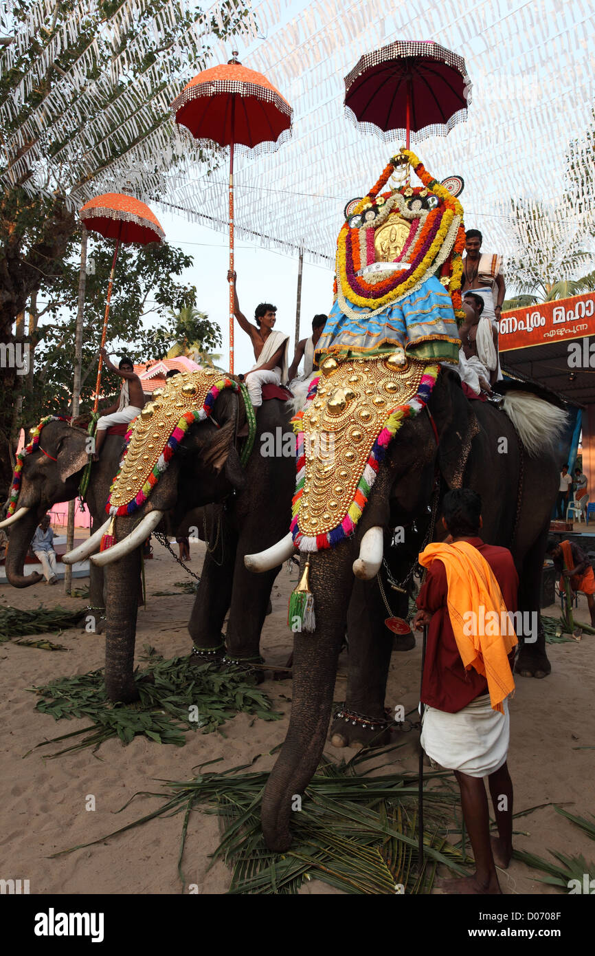 Formation de gold-caparisoned à Thrissur Pooram éléphants la. Temple Hindou sont Poorams festivals axés sur les populaires au Kerala. Banque D'Images