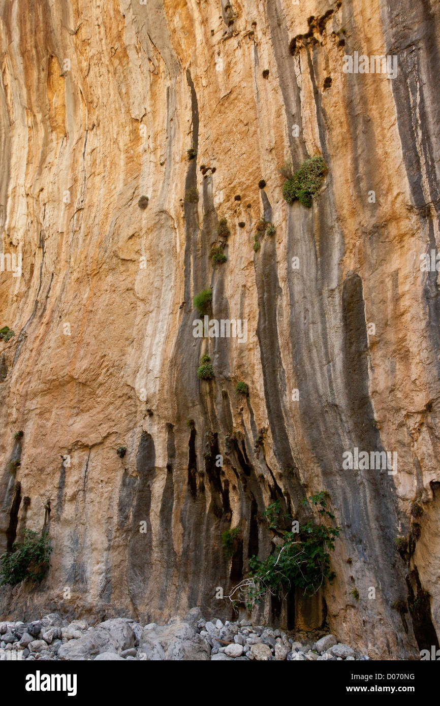 De hautes falaises calcaires dans le Parc National de la Gorge de Samaria, Montagnes Blanches, Crète, Grèce. Banque D'Images
