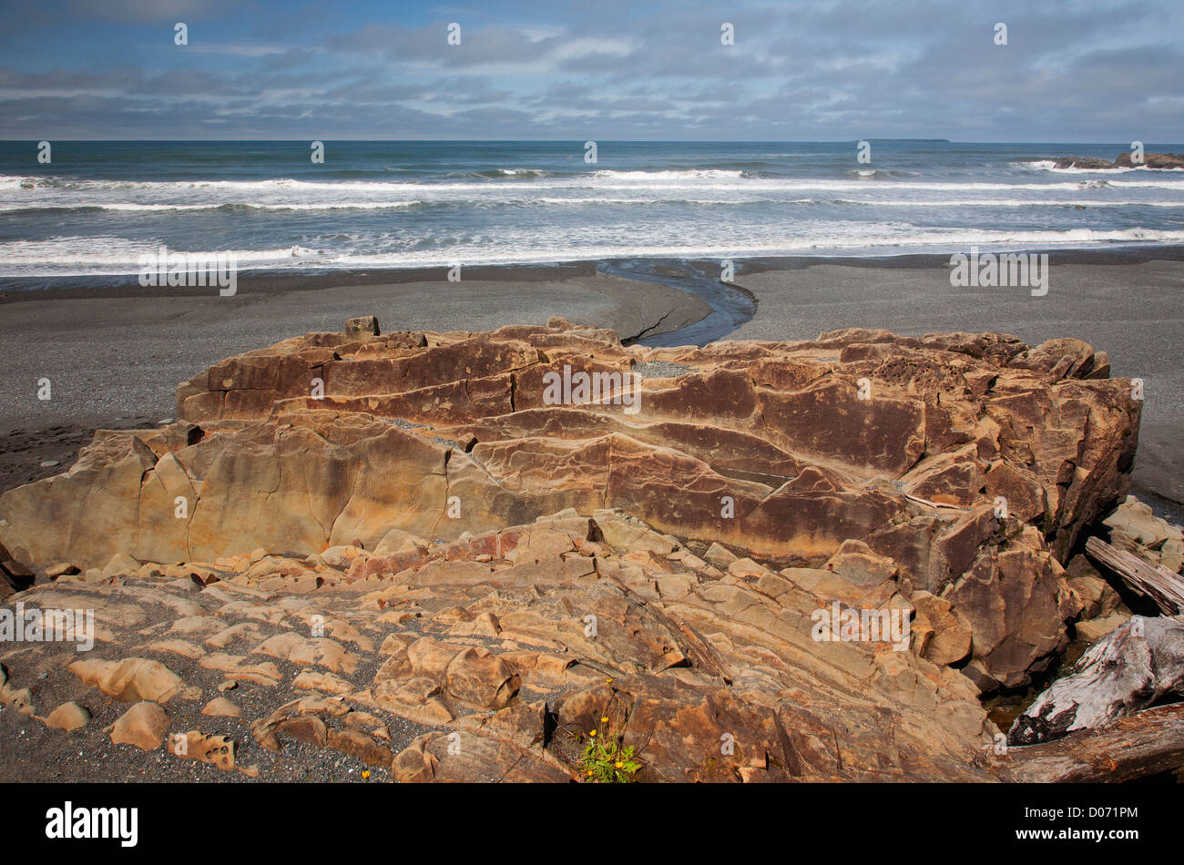 WA06726-00...WASHINGTON - incliné de couches de grès dans un affleurement de Beach 4 dans le parc national Olympic. Banque D'Images