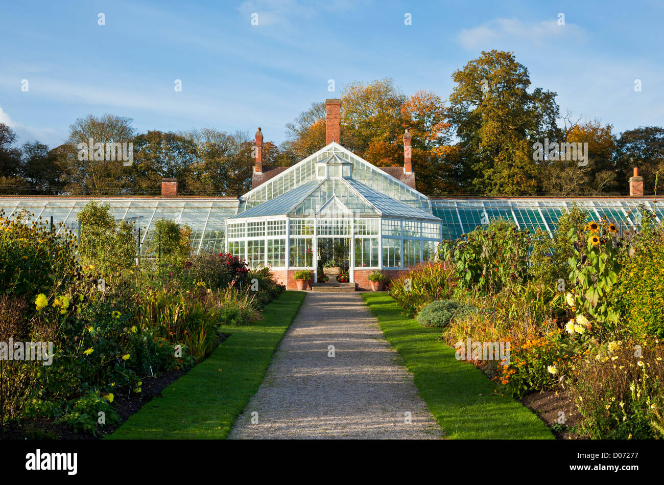 L'immense serre victorienne rénovée dans le jardin clos à Clumber park Norfolk England UK GB EU Europe Banque D'Images