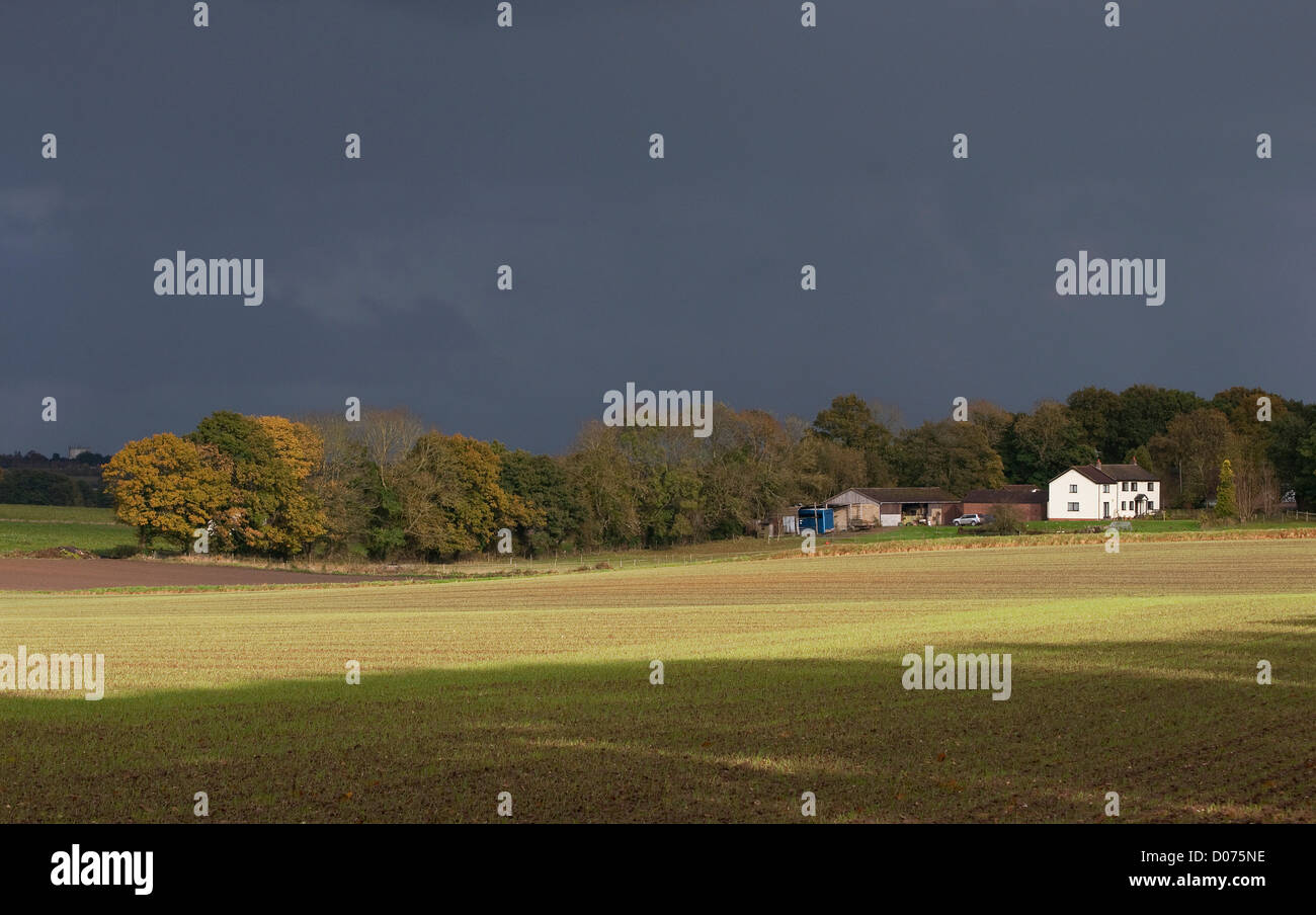 Maison de ferme blanche dans un paysage rural, Norfolk, Angleterre Banque D'Images