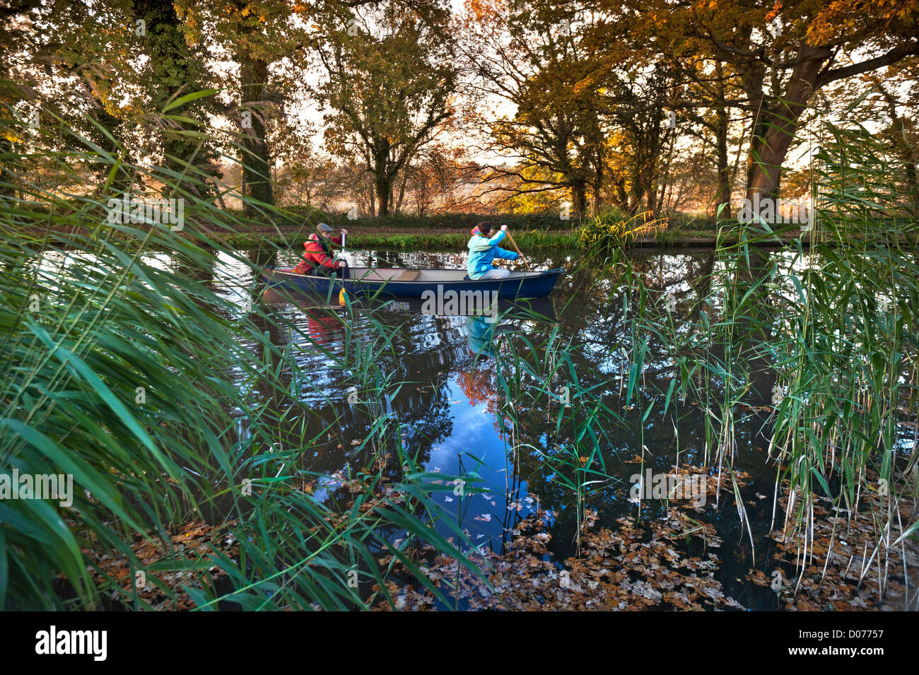 Couple paddling leur canot sur la rivière en aval d'automne Wey Surrey UK Banque D'Images