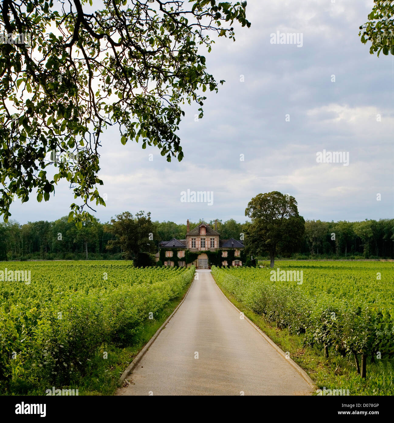 Villa de luxe entre vignoble en Bourgogne Banque D'Images