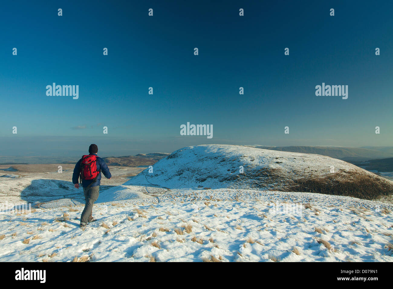 Duncolm et les collines Kilpatrick, Hamoir Banque D'Images