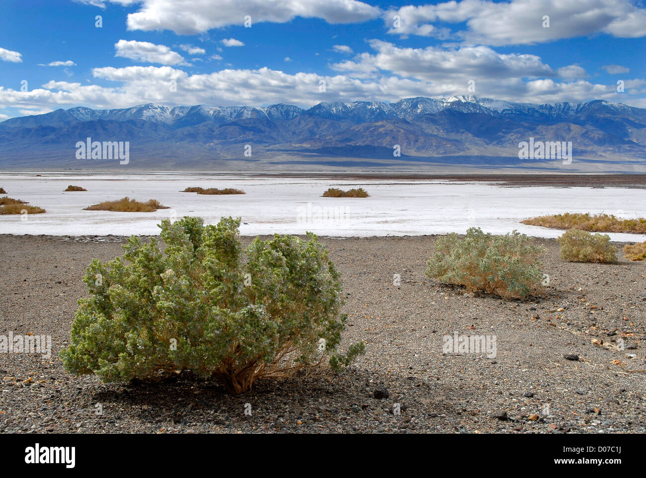 Douilles sur le fond d'un lac dans la vallée de la mort Banque D'Images