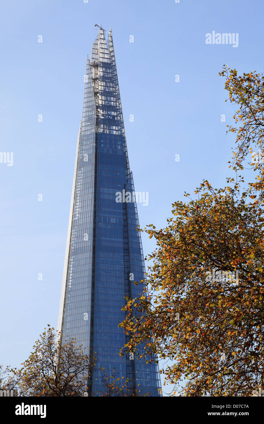 L'Écharde de la tour de verre et d'acier avec des feuilles d'automne au premier plan London England UK Banque D'Images