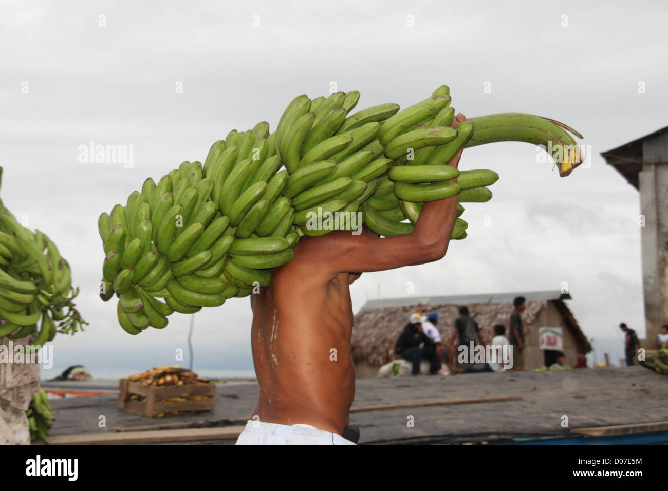 Bananas in amazon Banque de photographies et d'images à haute résolution -  Alamy