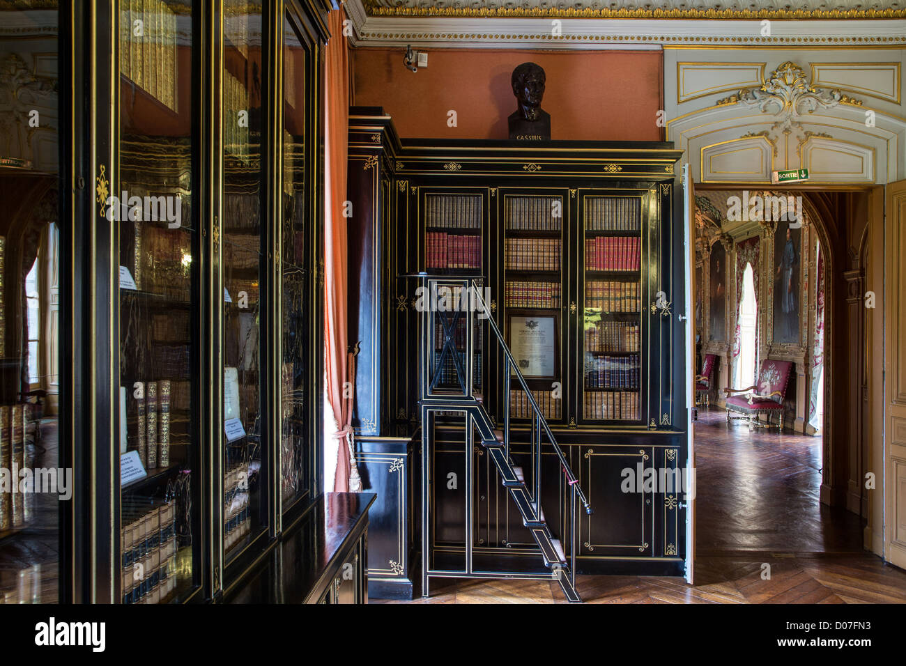 La bibliothèque de style Napoléon III DANS LEQUEL CERTAINES OEUVRES SONT EXPOSÉES Madame de Maintenon CHÂTEAU DE MAINTENON Eure-et-Loir (28) FRANCE Banque D'Images