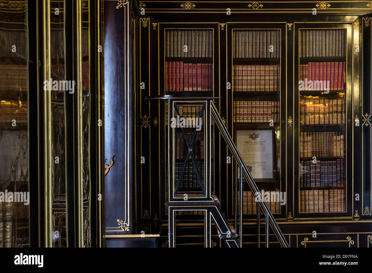 La bibliothèque de style Napoléon III DANS LEQUEL CERTAINES OEUVRES SONT EXPOSÉES Madame de Maintenon CHÂTEAU DE MAINTENON Eure-et-Loir (28) FRANCE Banque D'Images