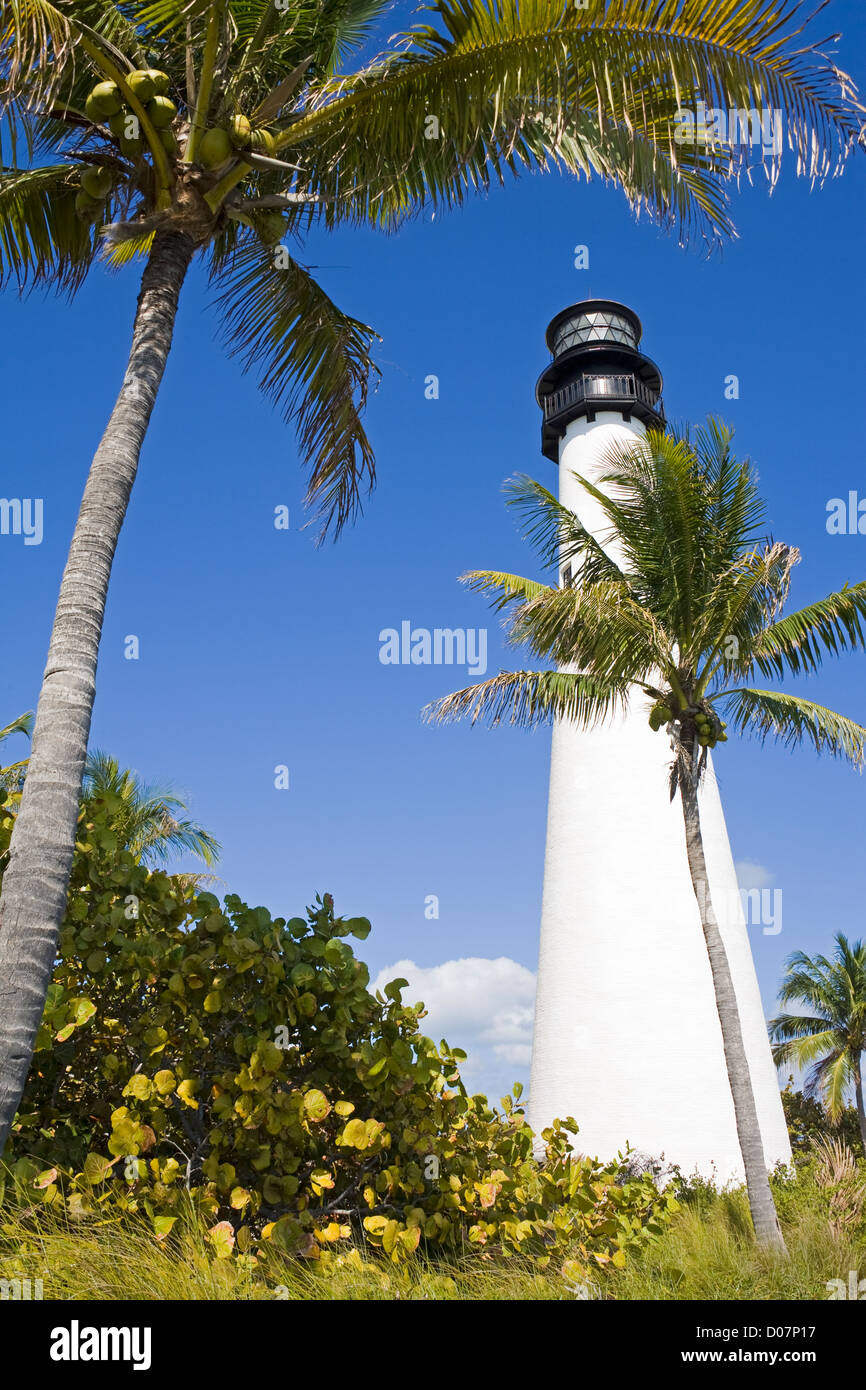 Le phare de Cape Florida dans Parc national Bill Baggs, Key Biscayne, Miami, Floride, USA Banque D'Images