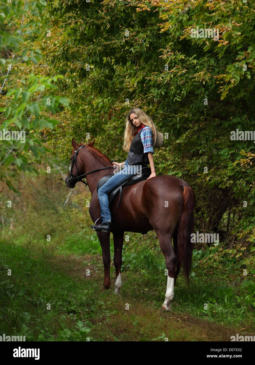 Happy Cow sur cheval brun Banque D'Images