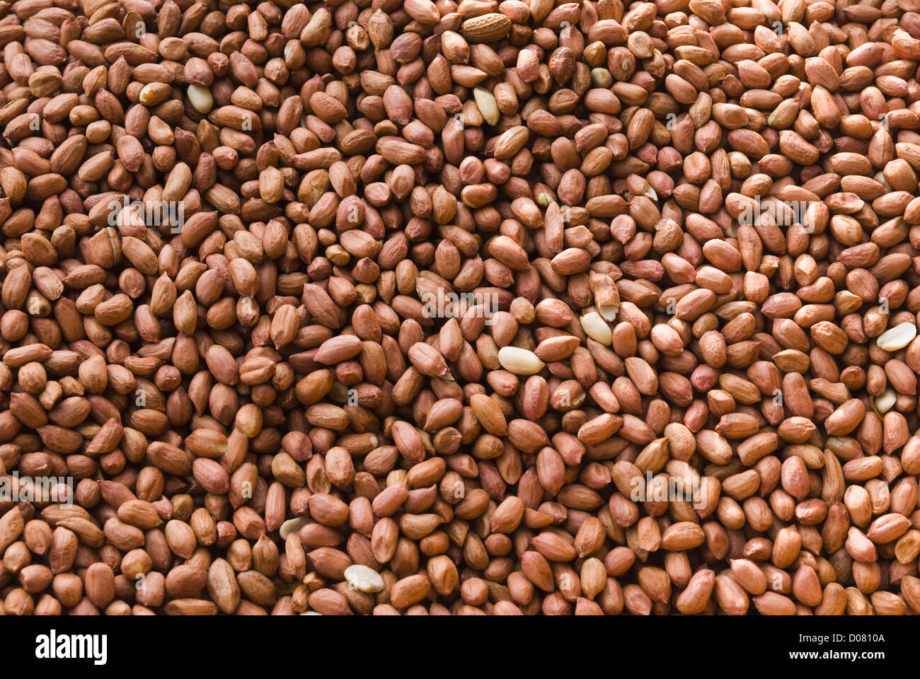 Close-up d'arachides décortiquées at a market stall, Delhi, Inde Banque D'Images